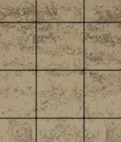  Тротуарная плитка Выбор Квадрат Б.3.К.8 100х100х80 мм Листопад Старый замок: внешний вид