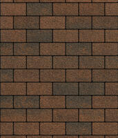  Брусчатка Выбор Прямоугольник Листопад 2.П.6 60 мм. Мустанг Гранит: внешний вид